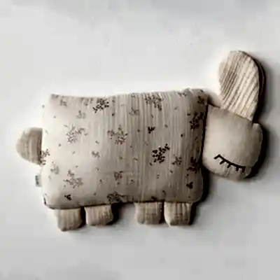 Andy Wawa Yastık Pretty Flowers Açık Somon