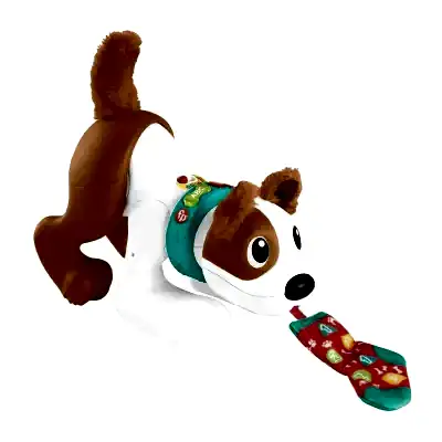 Emeklemeyi ve Saymayı Öğreten Köpekçik