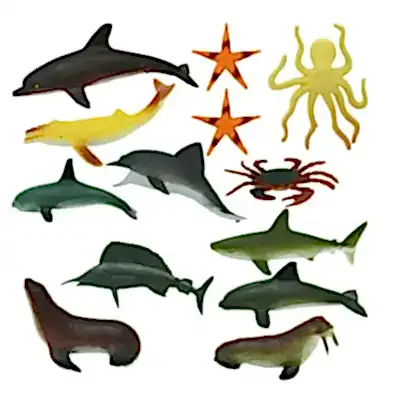Okyanus Hayvanları Küçük Boy