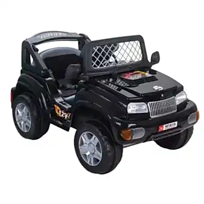 Pilsan Panther Akülü Araba Kumandalı 12 Volt Siyah